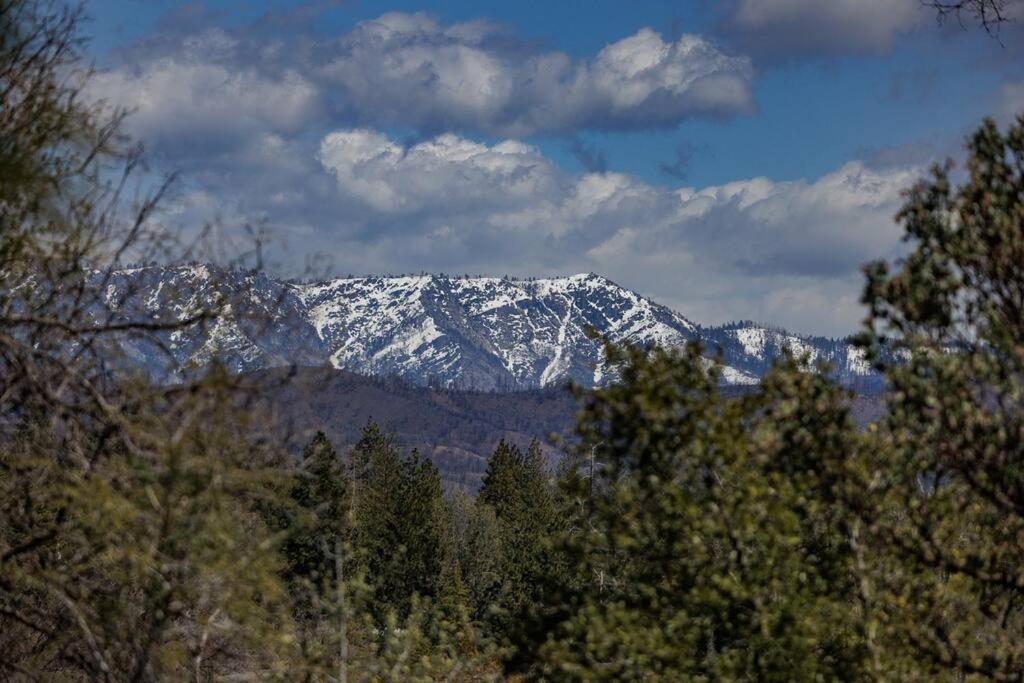 Cozy Cub Cabin, Brand New Home Near Yosemite Маріпоса Екстер'єр фото