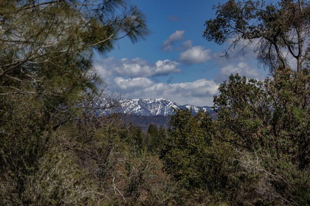 Cozy Cub Cabin, Brand New Home Near Yosemite Маріпоса Екстер'єр фото